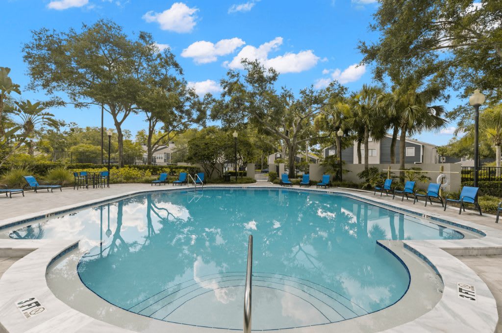 Pointe at Carrollwood