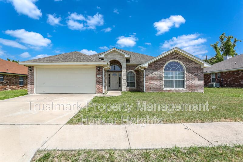 2500 Bachelor Button