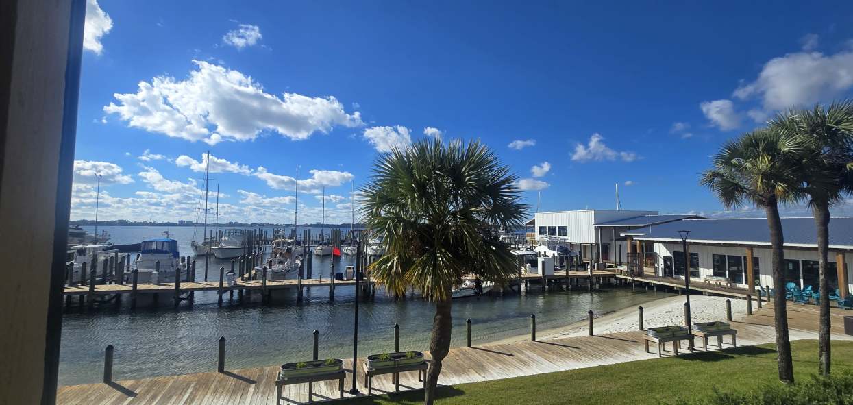 5505 Sun Harbor Road #233 - 1