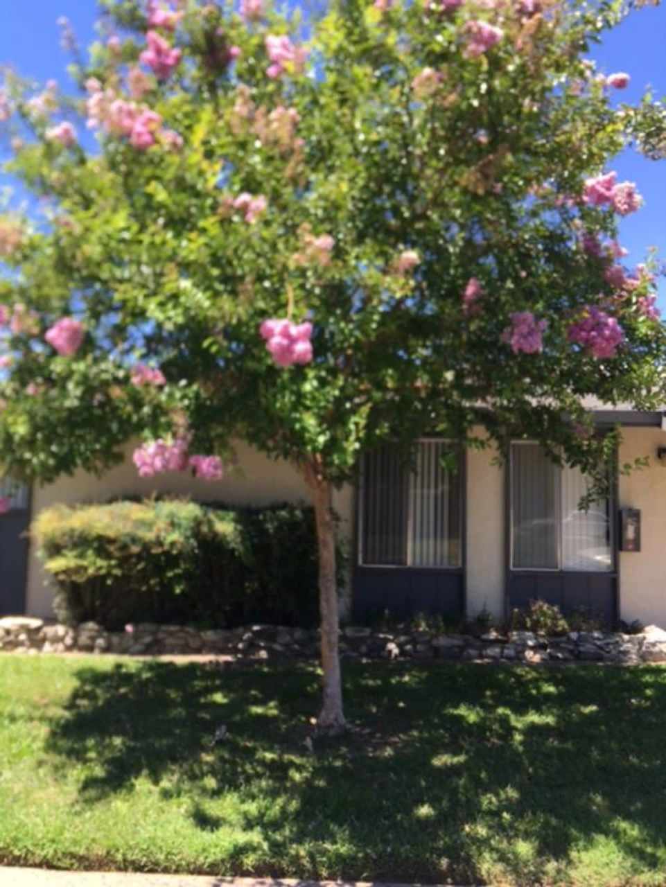 Capitales Apartments