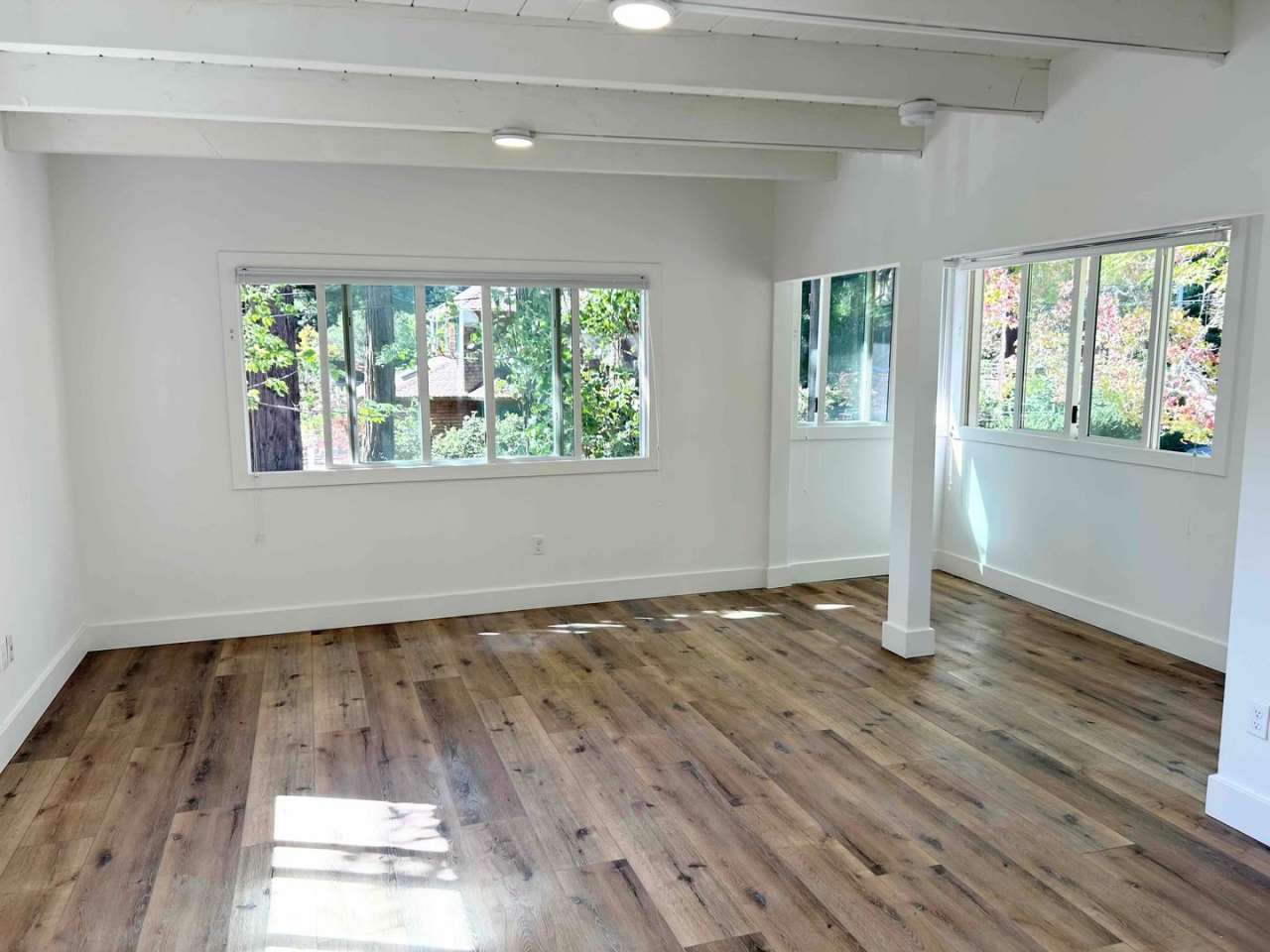 Beautifully Remodeled Studio Downtown