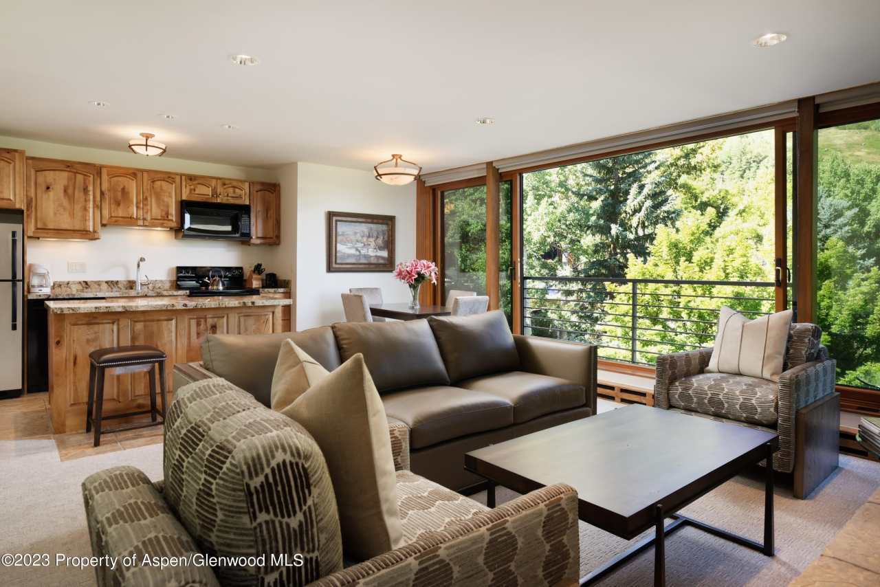 728 S Galena Street unit: B201