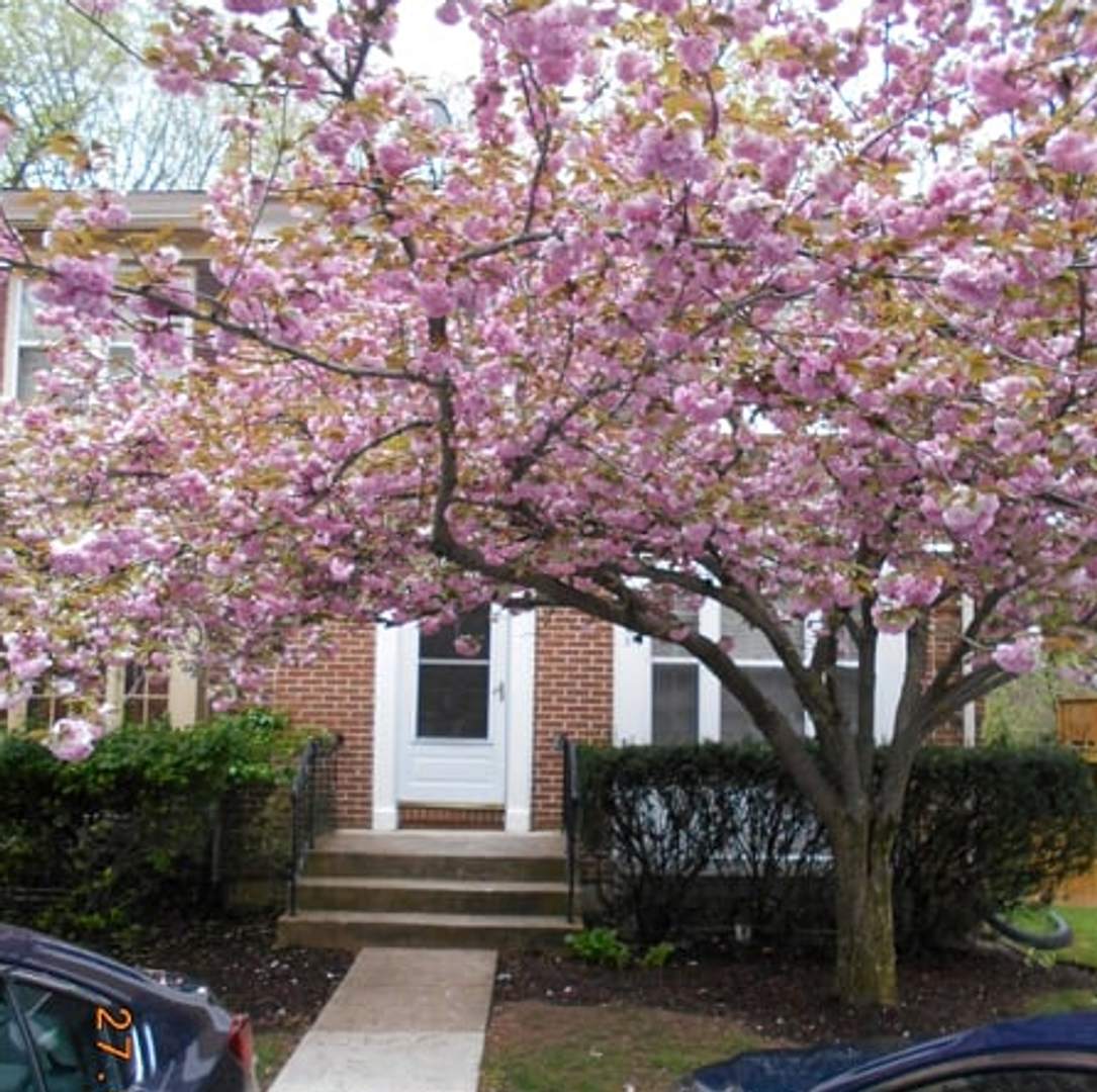 Updated Townhome Close to METRO