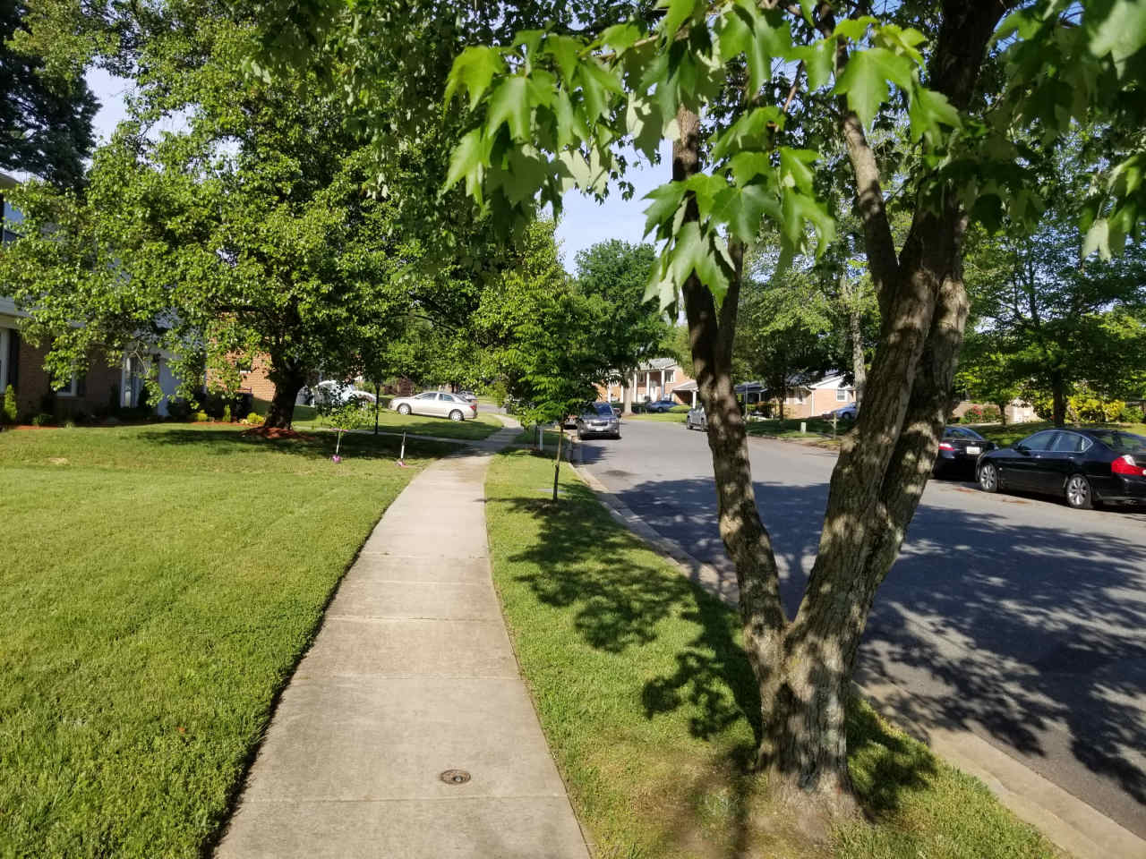 6106 Hellen Lee Drive Room B