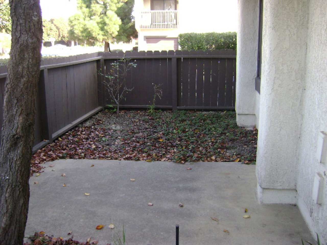 1314 W. Apricot Avenue