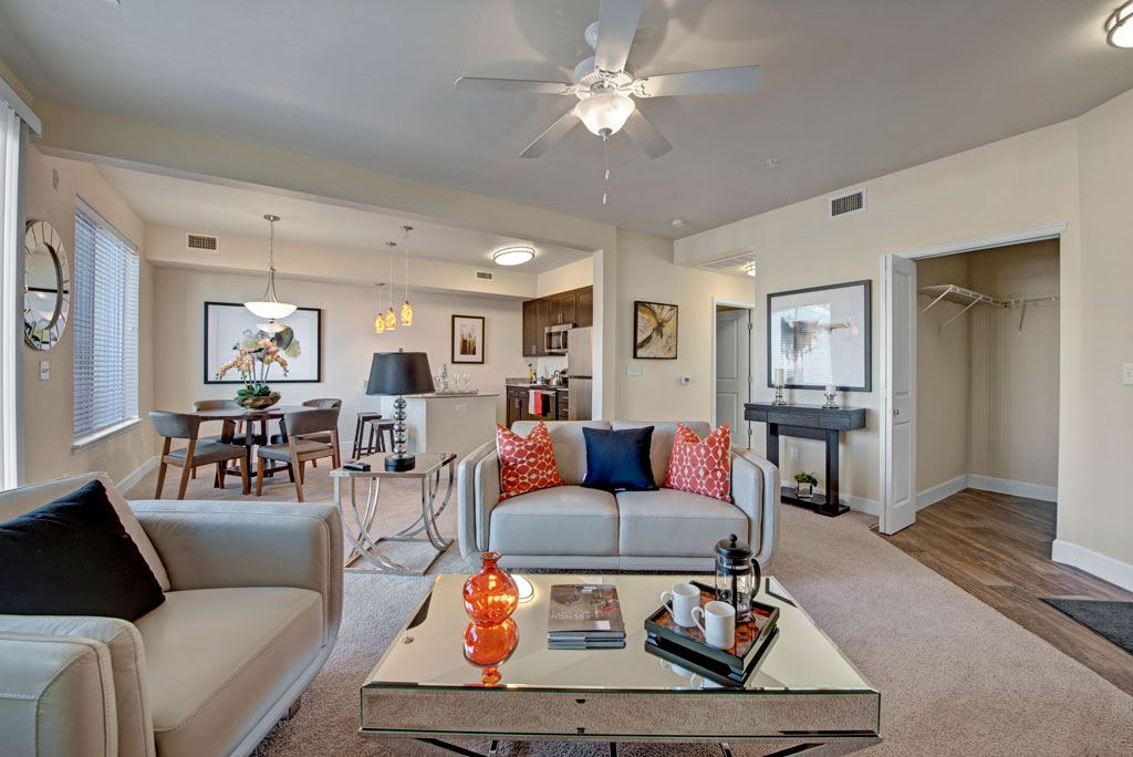 Vista View Apartments