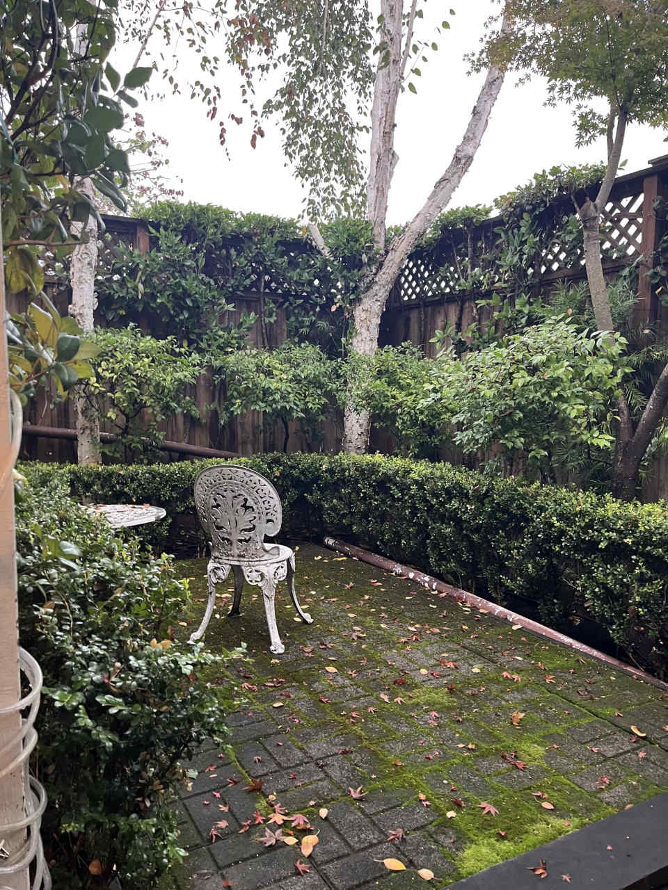 234 Walnut Ave. 232#2