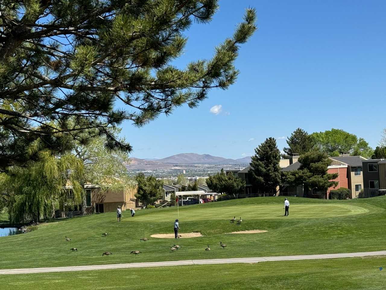 13th Fairway Views at Lakeridge Golf Course, 3 bed / 2.5 bath! Available Now!