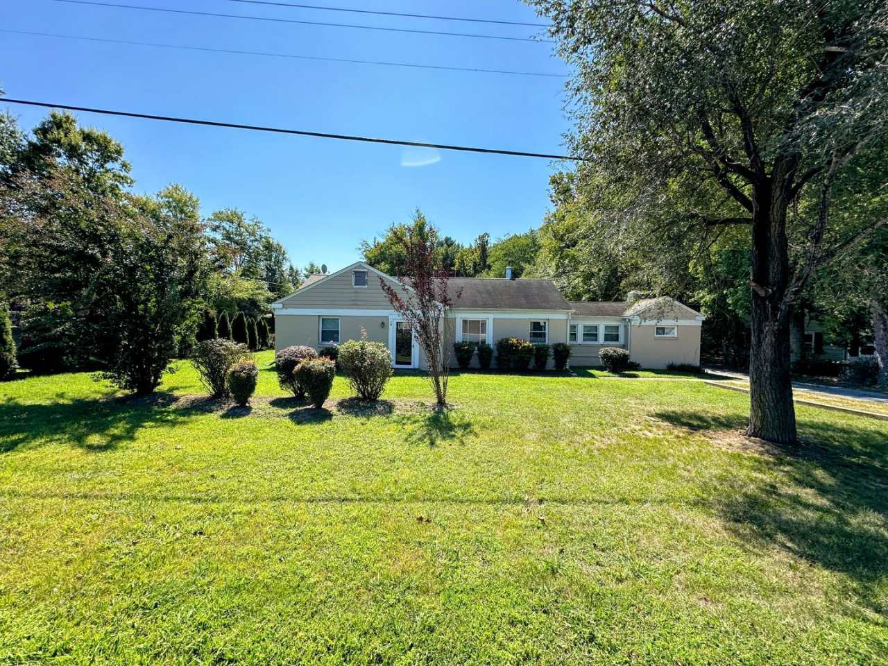 Rambler in the Town of La Plata