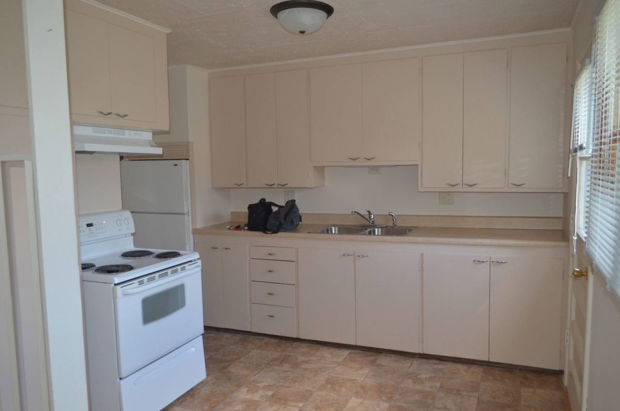 A Hop, Skip  A Jump to NDSU!