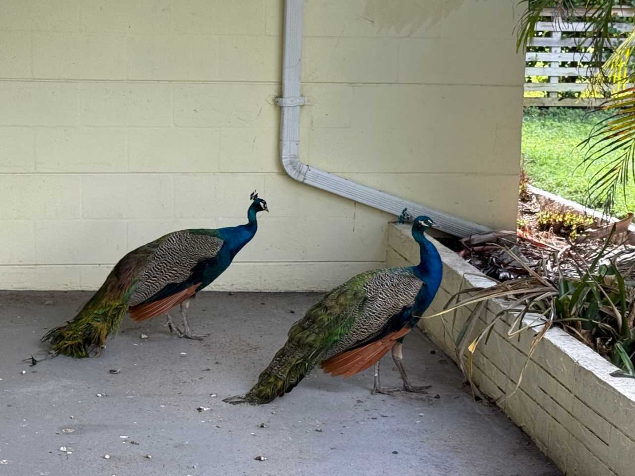 Annual Rental In Jensen Beach