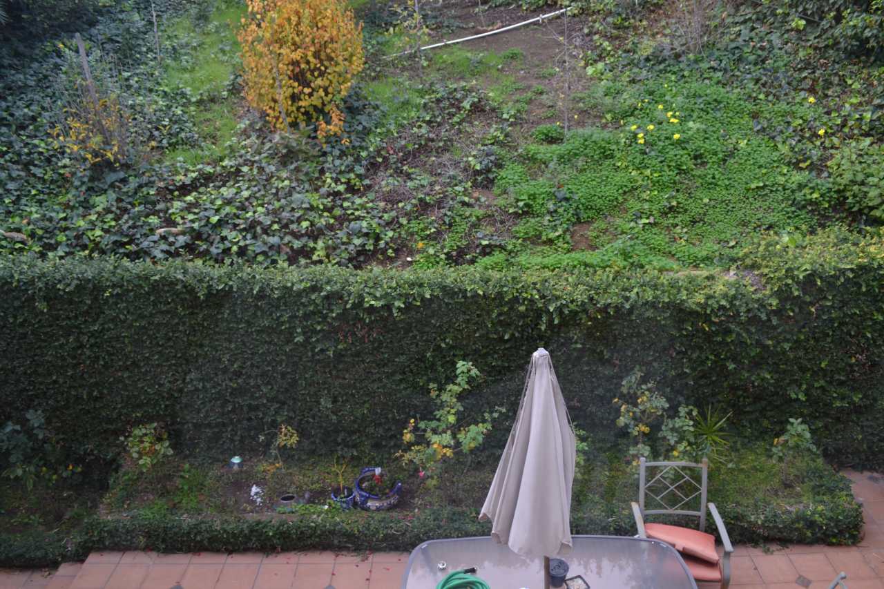 3211 Dos Palos Drive