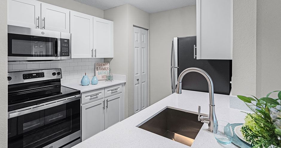 Sabal Palm at Lake Buena Vista