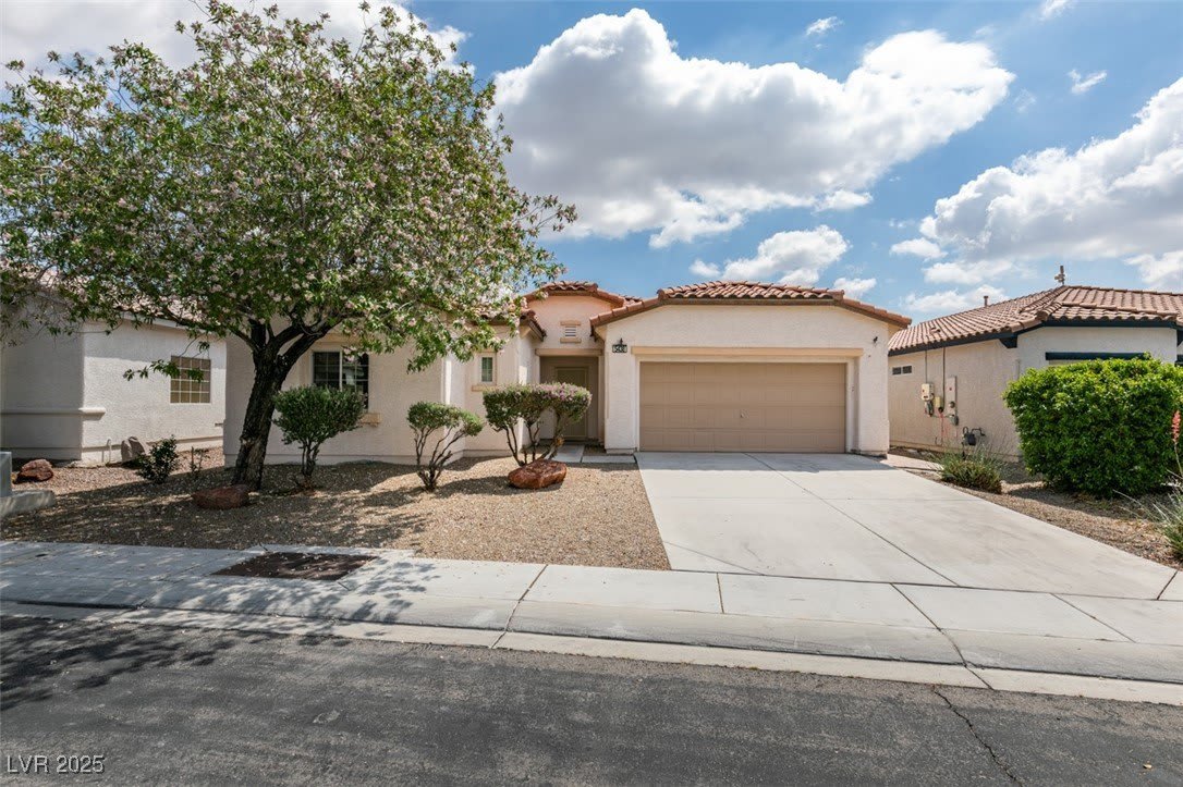 5438 Winterdale Street