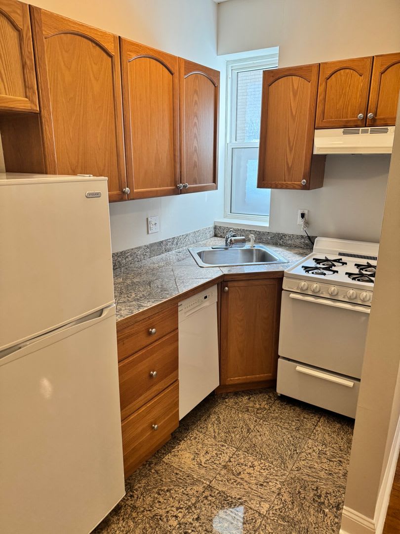Beautiful 1 bed 1 bath in vibrant Allston