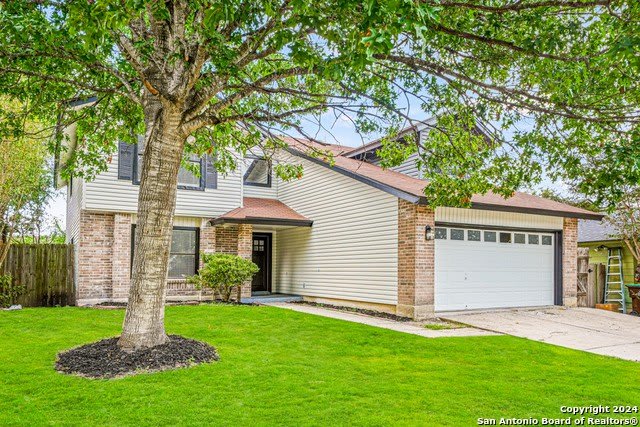 7178 grassy