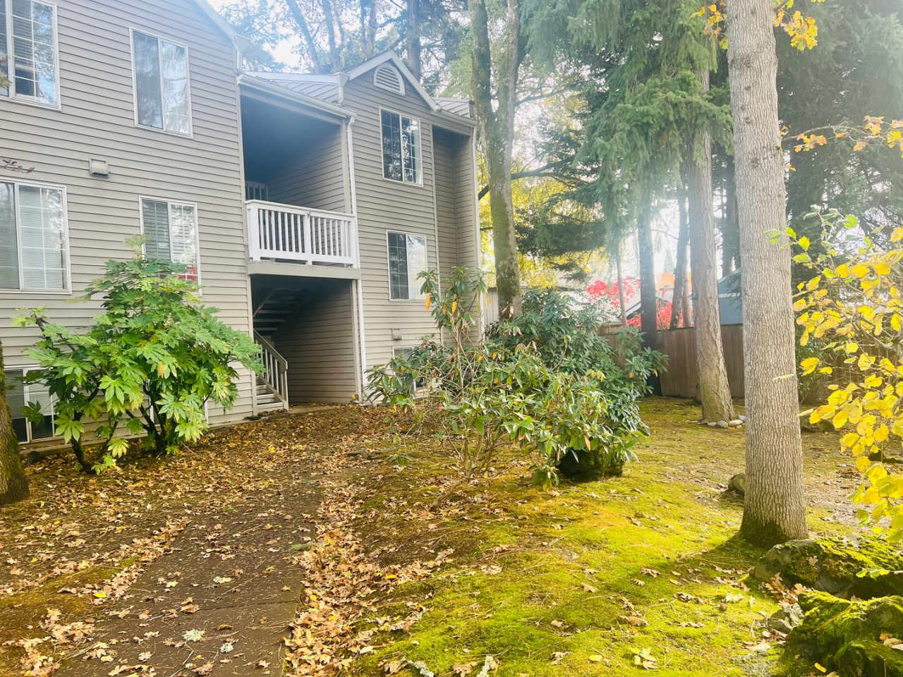 First Full Month's Rent Free! Bright and Airy One Bedroom Condo - Water, Sewer  Trash Covered!