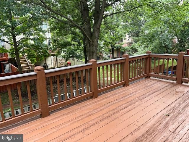 43229 BENT TWIG TERRACE