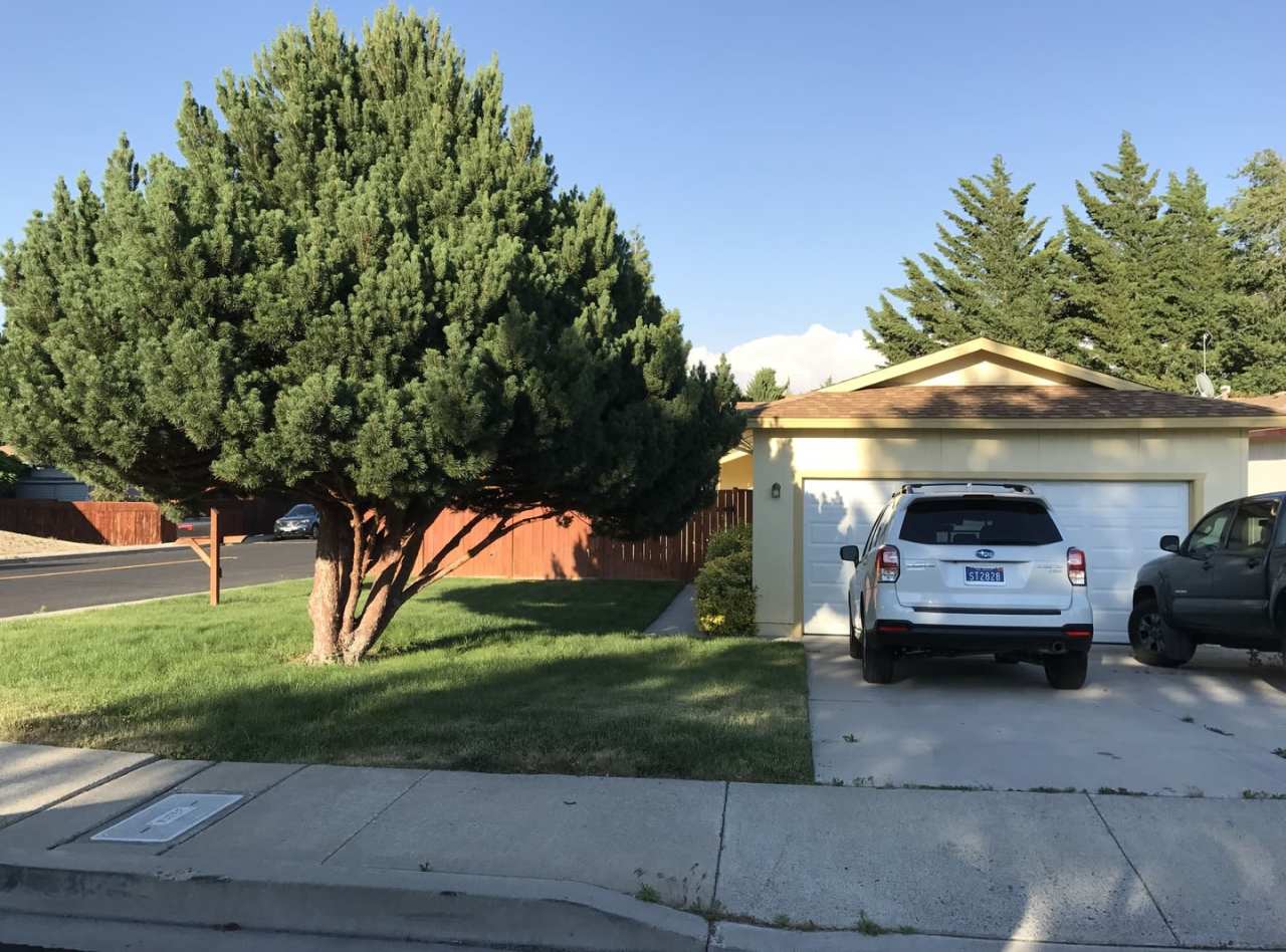Darling 3 bedroom in North West Reno owner has lowered rent again for 3 months then goes up to $2300 for 3 months