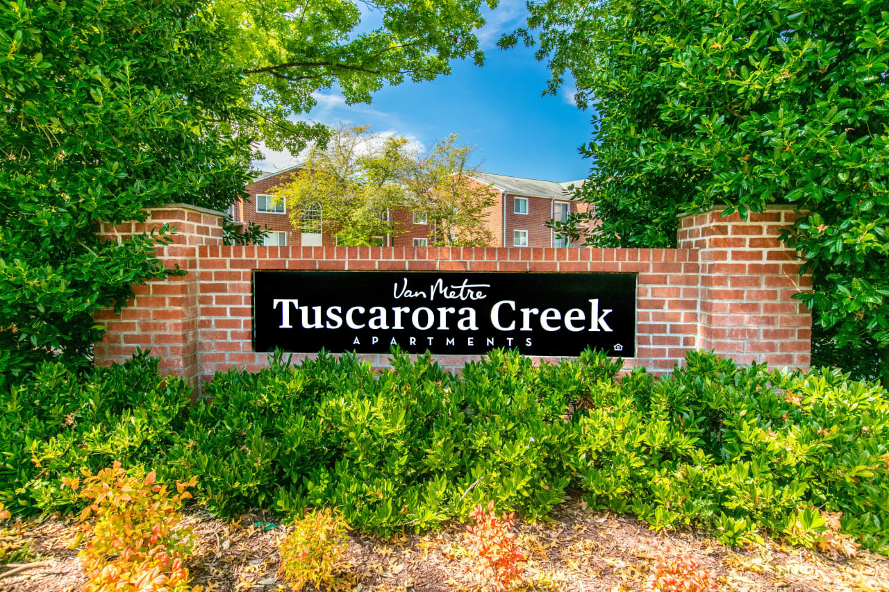 Tuscarora Creek