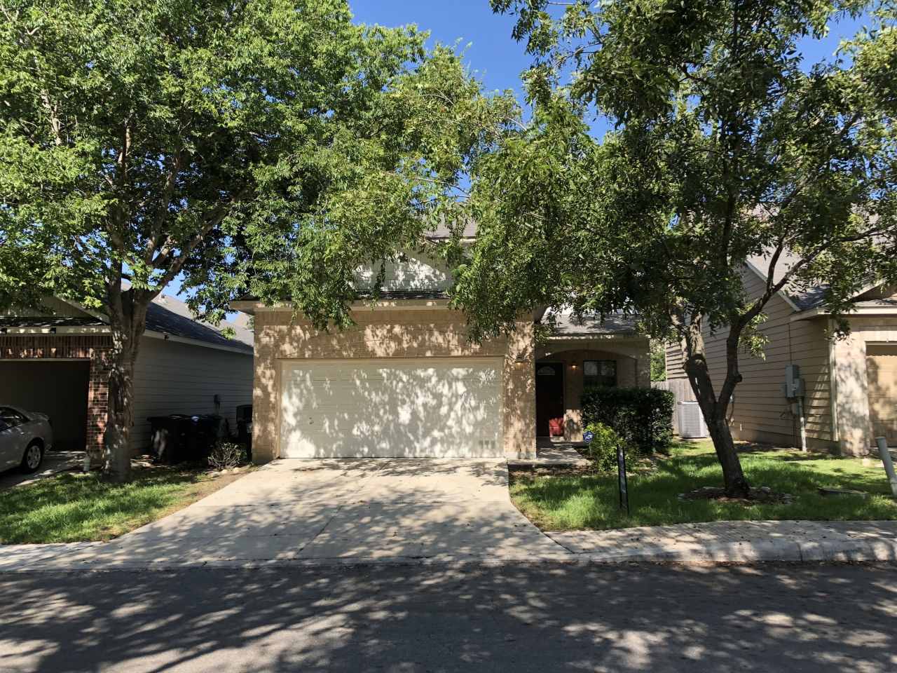 6031 Pecan Tree