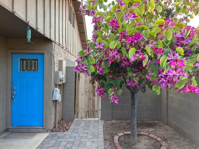 1418 East El Parque Drive