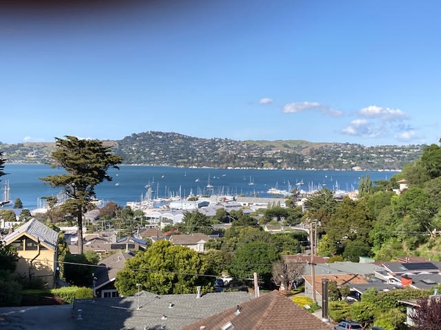 816 Spring Street - C