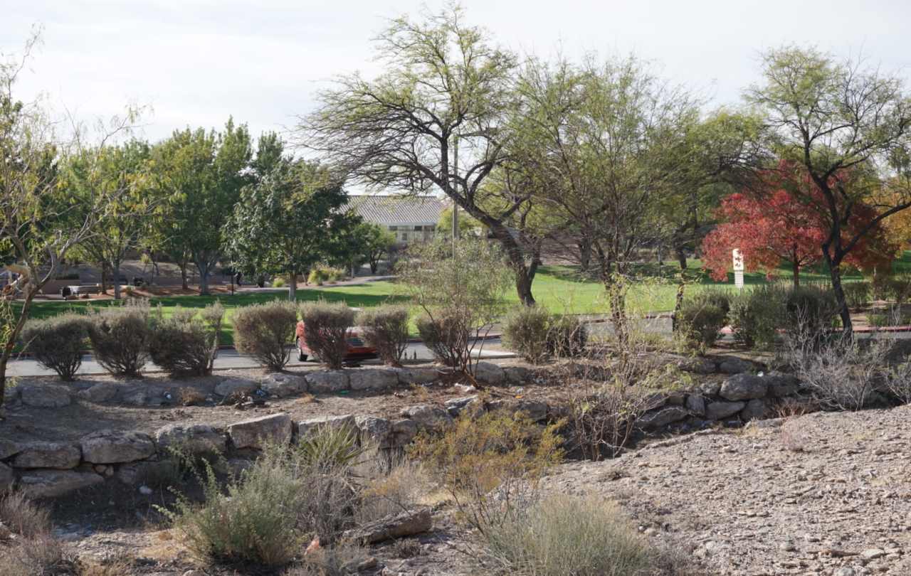 TOTALLY RENOVATED Summerlin Condo - Lake Mead/Buffalo * 2 Bedroom 2 Bath