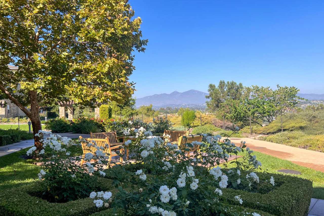 Entertainers Delight in Aliso Viejo!