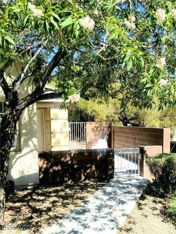 3252 Little Stream Street