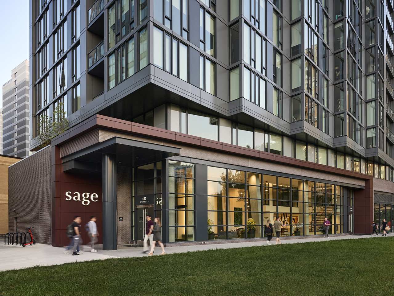 Sage