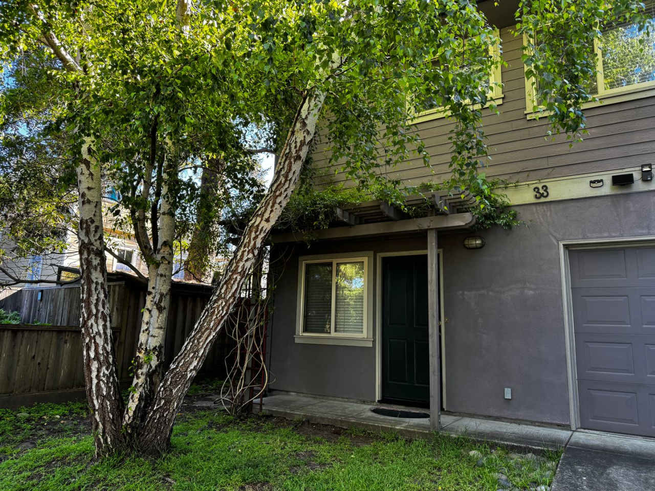 Charming Setting in Heart of Santa Cruz