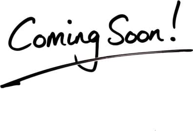 1231-1233 West Windlake Avenue - 1231A