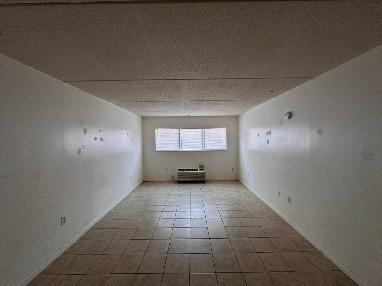 1 Bedroom Condo