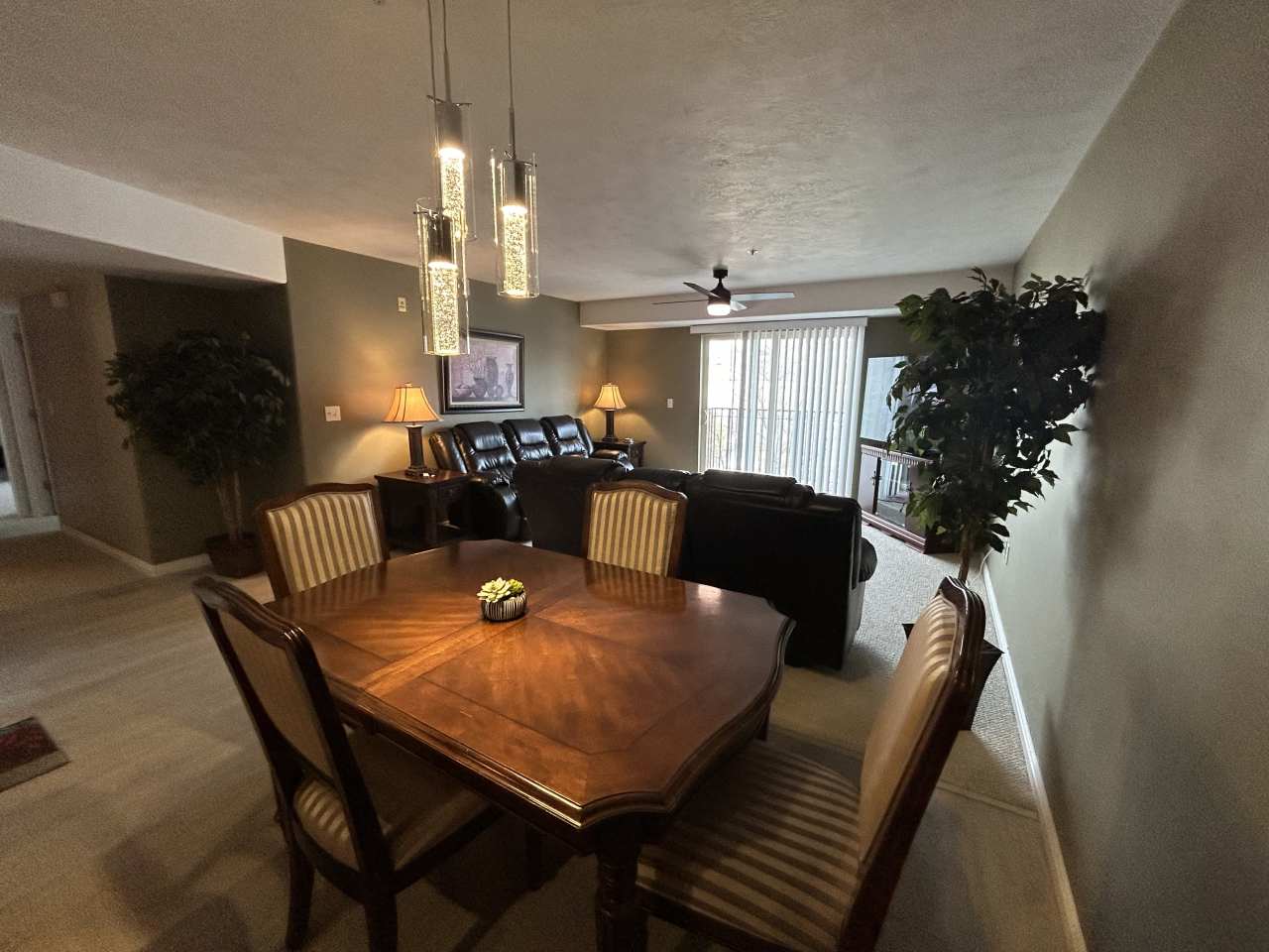 1195 Privet Dr
