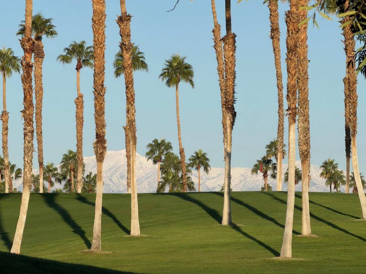 269 Vista Royale Circle W