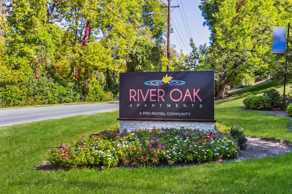 River Oak