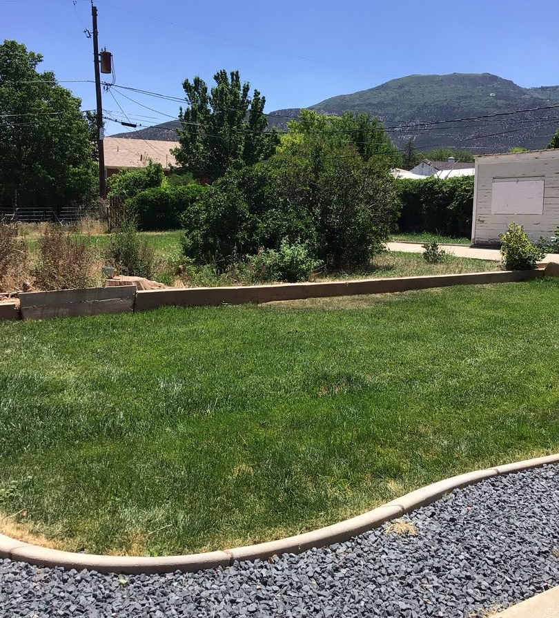 Charming basement apartment