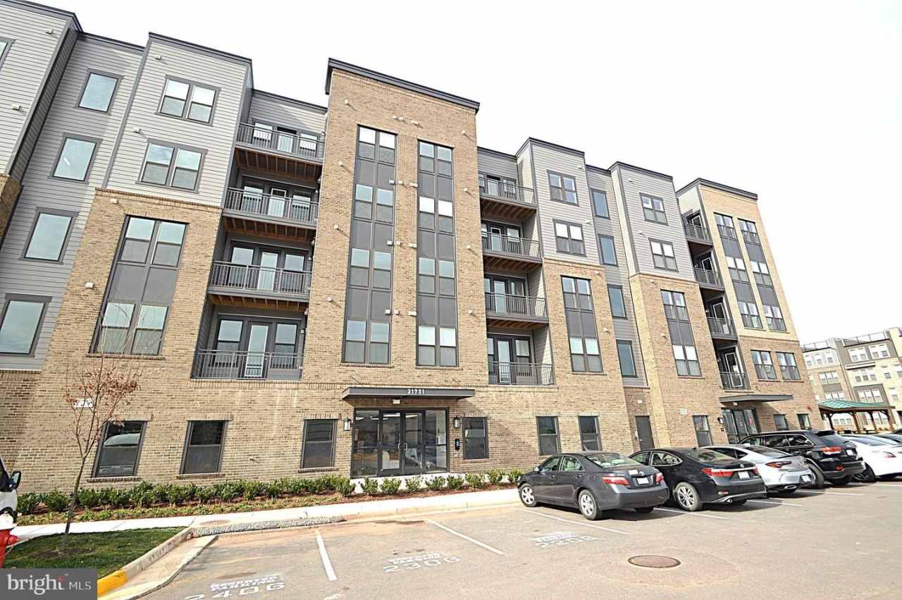 21731 DOVEKIE TER #206