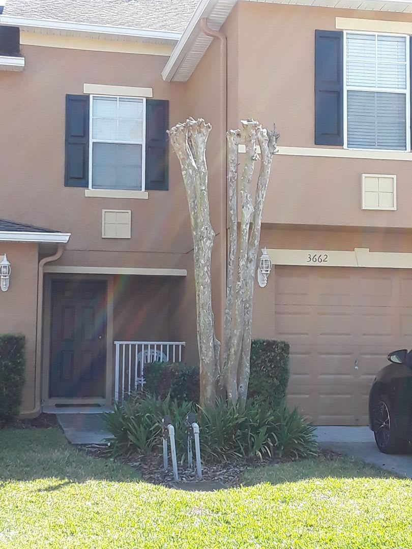 3/2.5 Townhouse near UCF area
