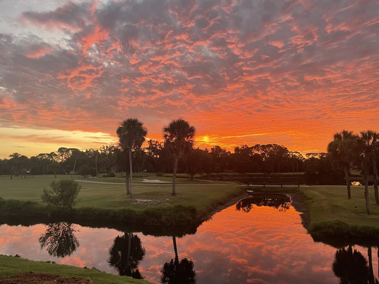 4581 Forest Wood Trail