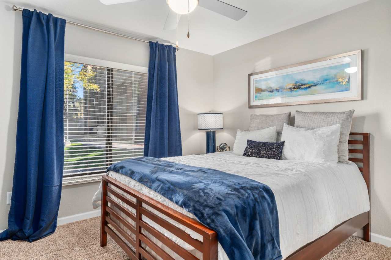 Palms on Scottsdale by Mark-Taylor