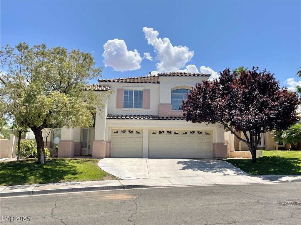 20 Staghorn Street