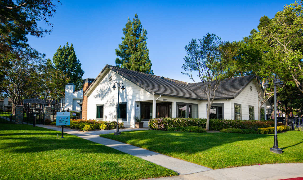 Vineyard Village