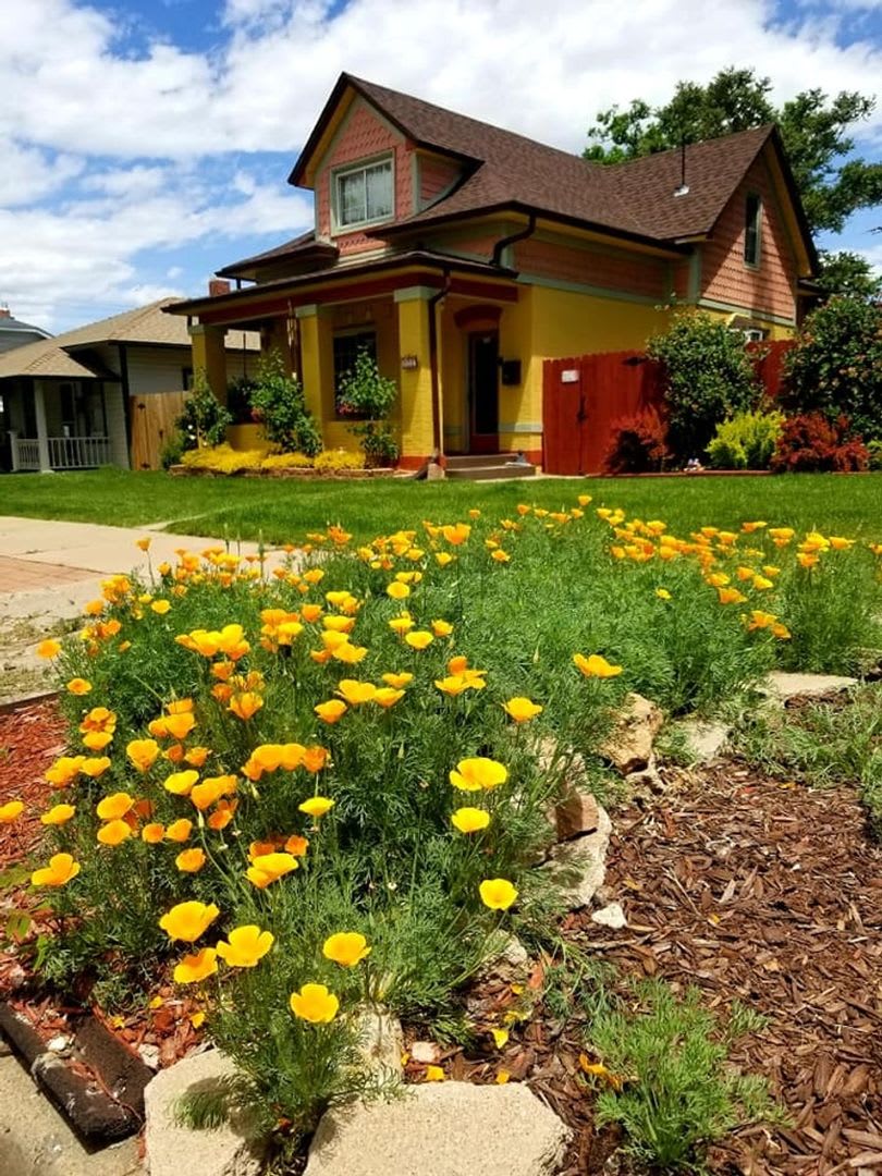 Turn-Key Charming 3BR 1906 Modern Updated Victorian Farmhouse in Denver