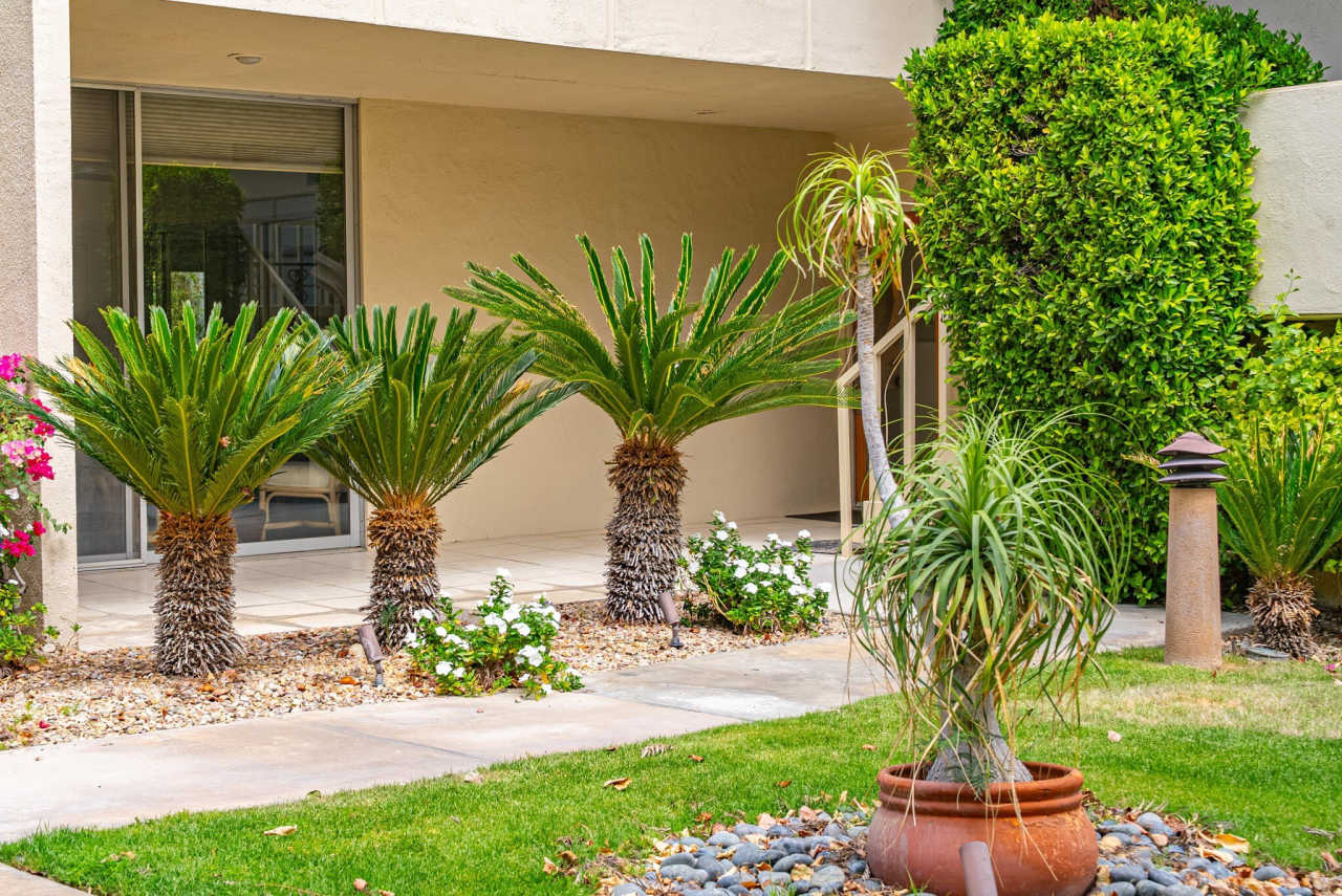 477 Desert Lakes Drive