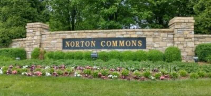 6411 Moonseed street