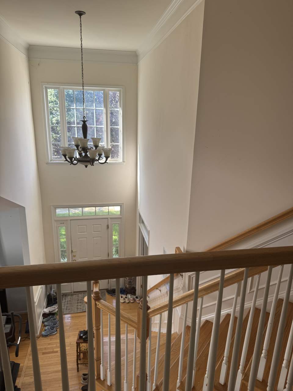 24794 Serpentine Place