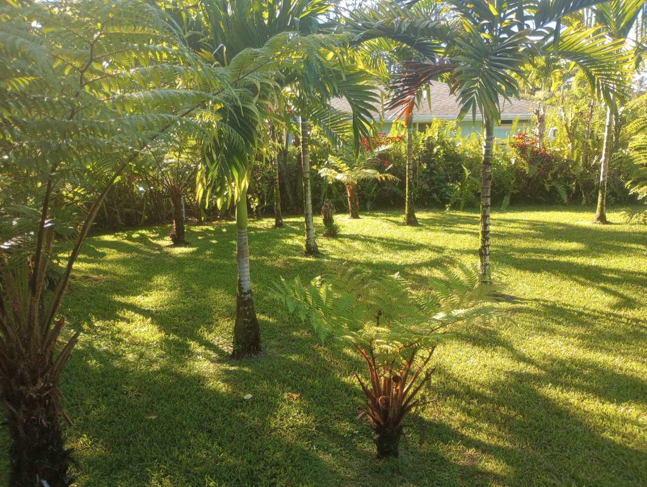 1bd  1 1/2 ba Fully Furnished  Move in Ready  all appliances included