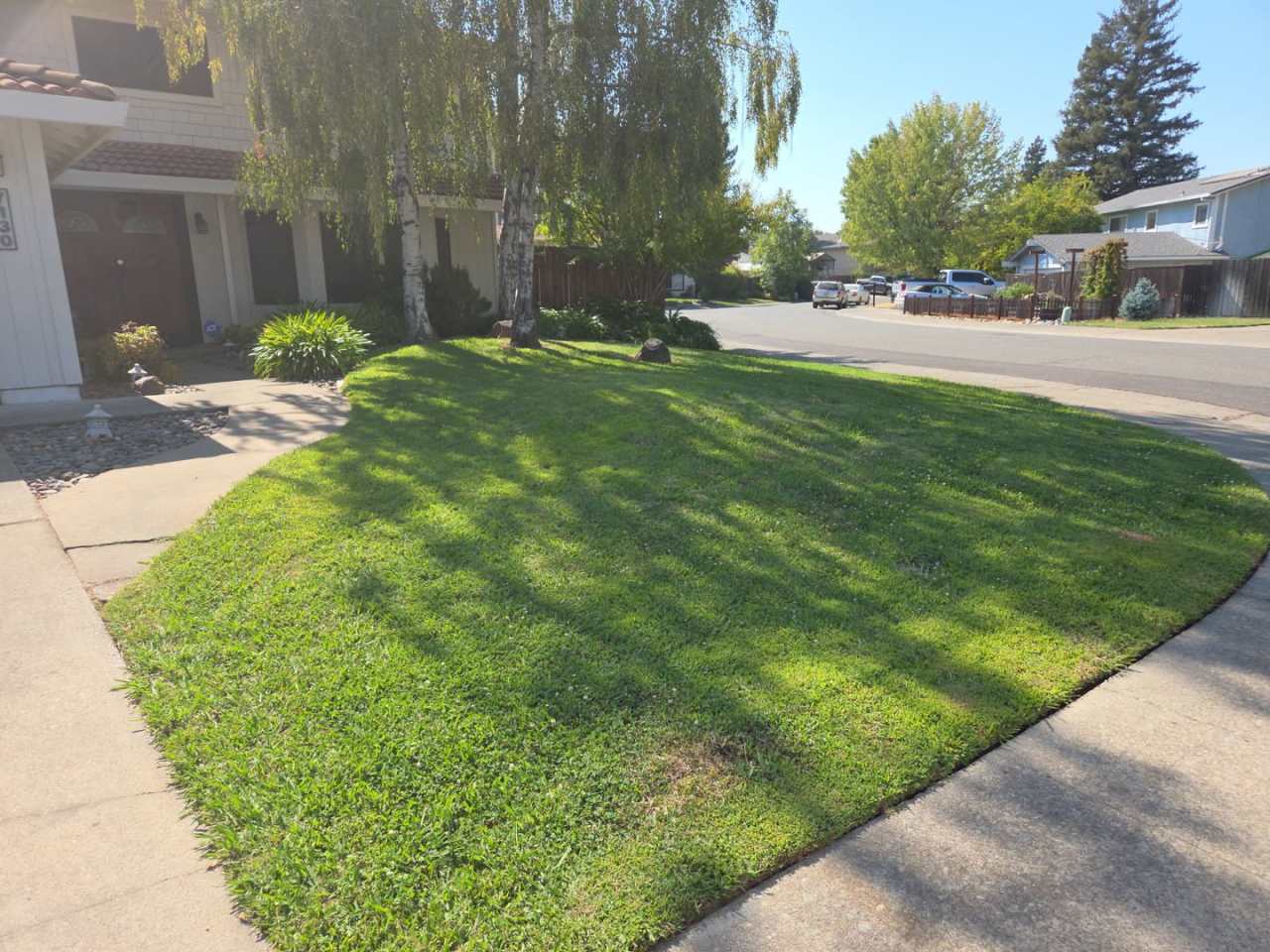 Spacious 5- Bedroom Home with Pool  Spa in Citrus Heights